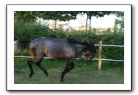 IMG_6315