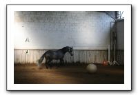 IMG_3377