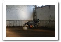 IMG_3379