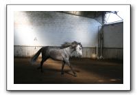 IMG_3390