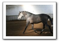 IMG_3392