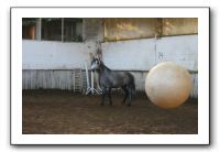 IMG_3397