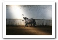 IMG_3407