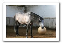 IMG_3457