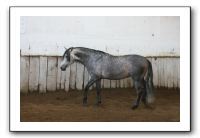 IMG_3358
