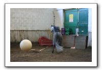 IMG_3360