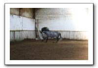 IMG_3367