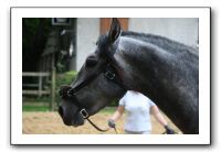 IMG_4480