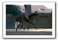 IMG_9265