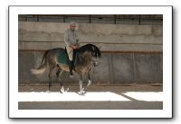 IMG_9301